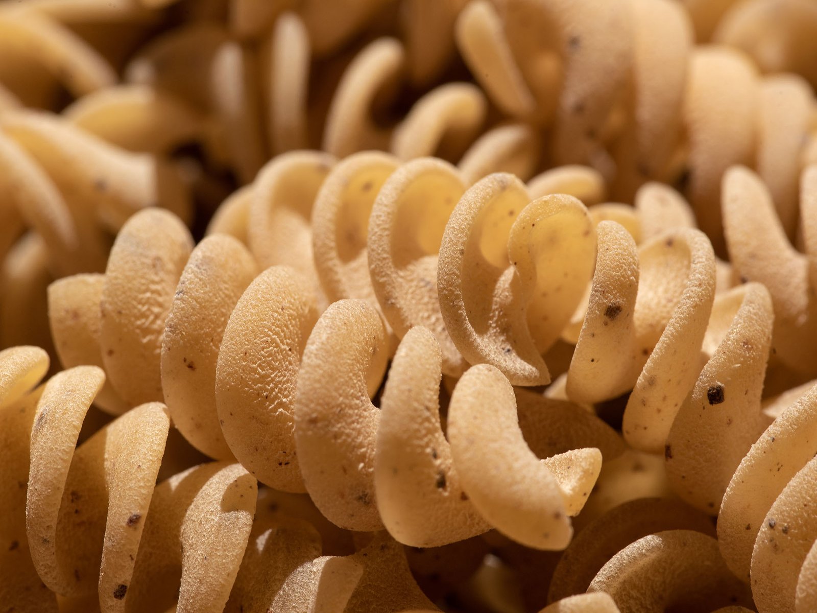 Fabbrura cinnamom fusilli